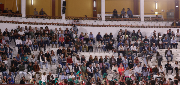 Montijo: Festival no próximo sábado