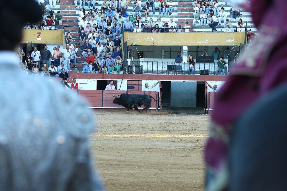 Coruche: Associação Nossa Praça na gestão da Monumental