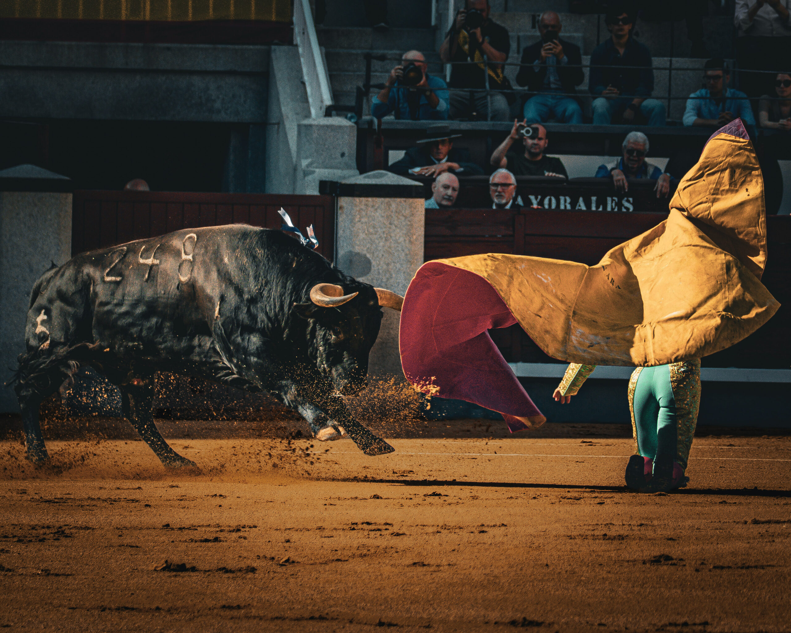 Palha em Madrid: tarde de exigência em Las Ventas