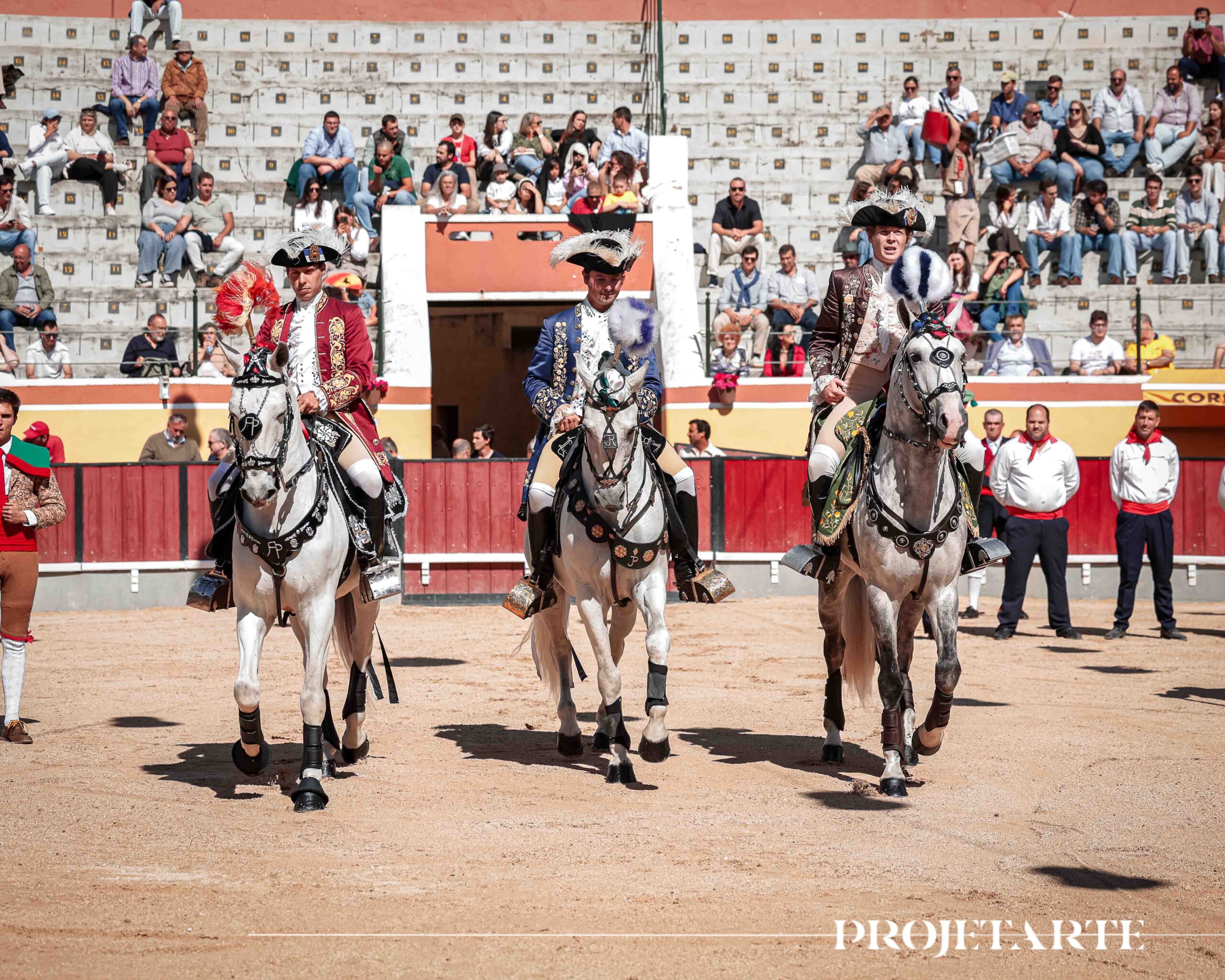 Vila Franca de Xira: Concurso de ganadarias em imagens