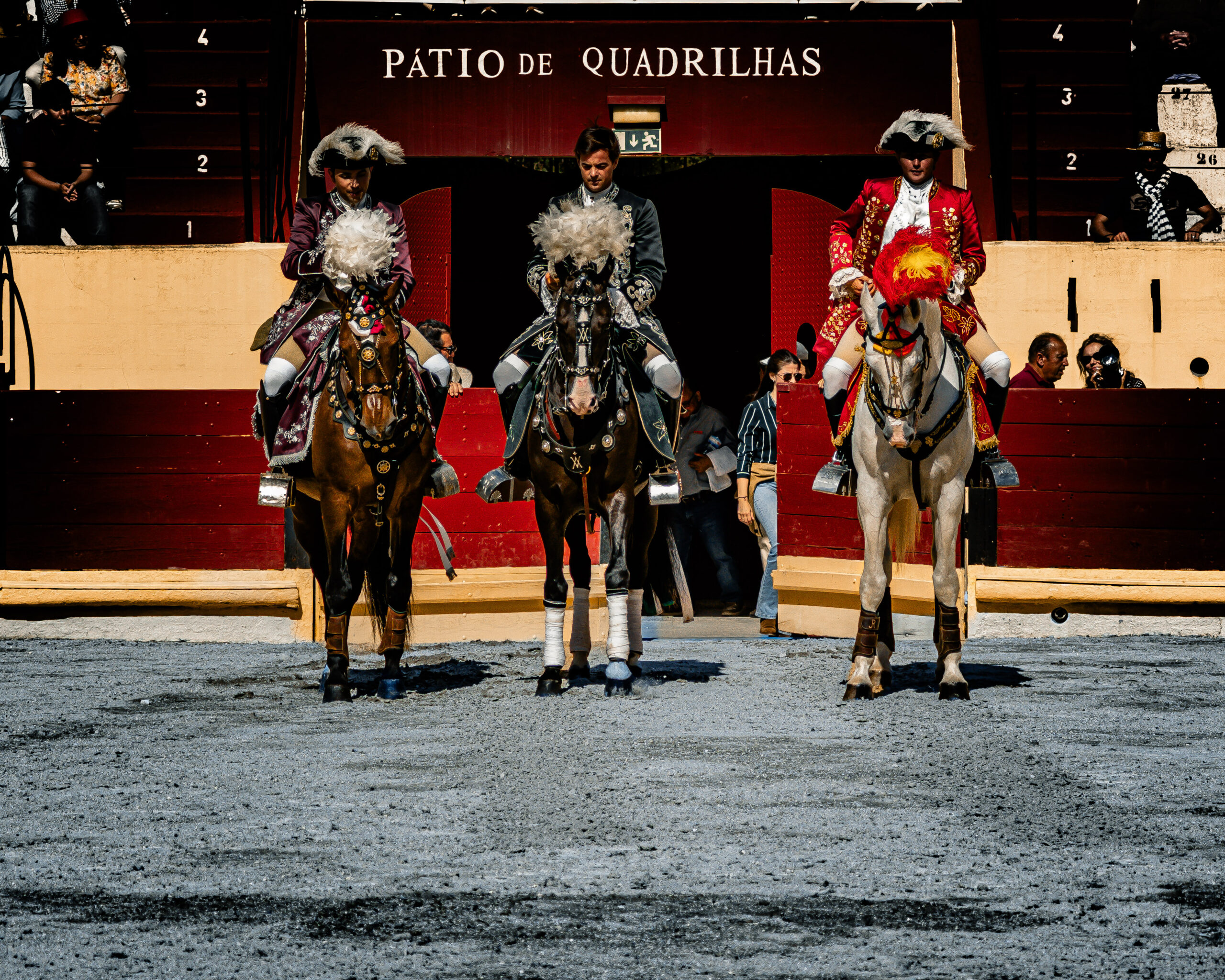 Salvaterra: O concurso de ganadarias em imagens
