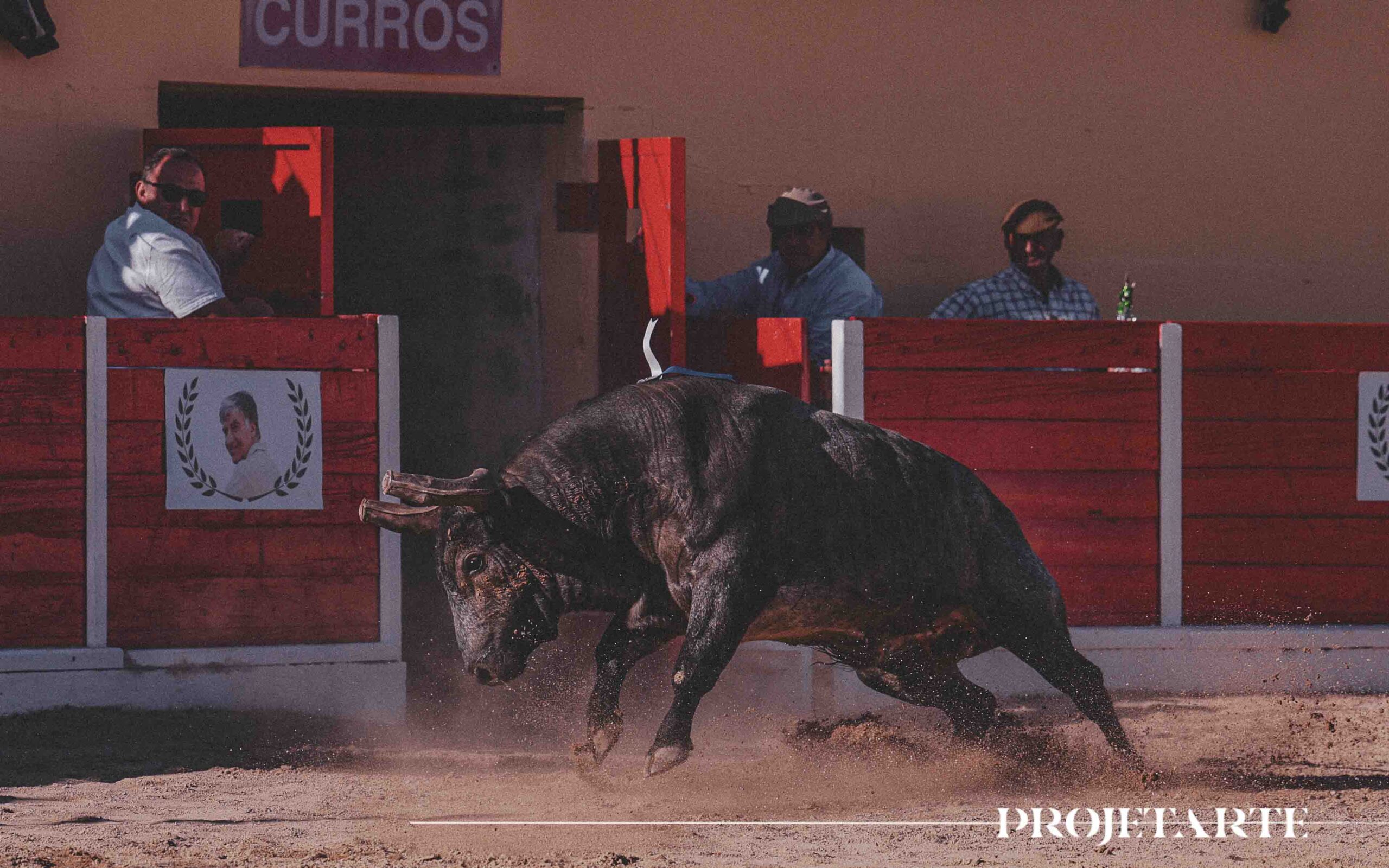Azambuja: Corrida da toiros em imagens