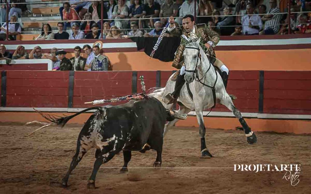 Luís Rouxinol Jr.