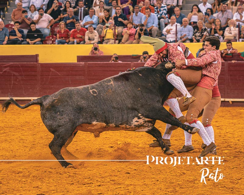 Moura: Corrida de toiros nas Festas da Nossa Senhora do Carmo