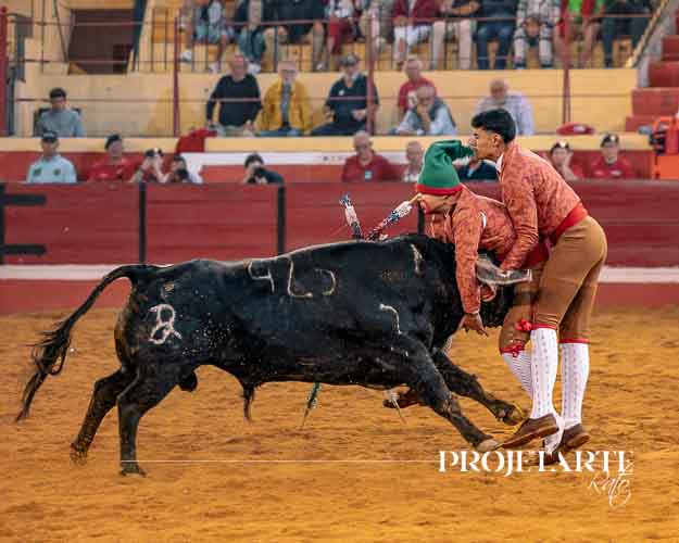 Forcados Amadores de Coimbra