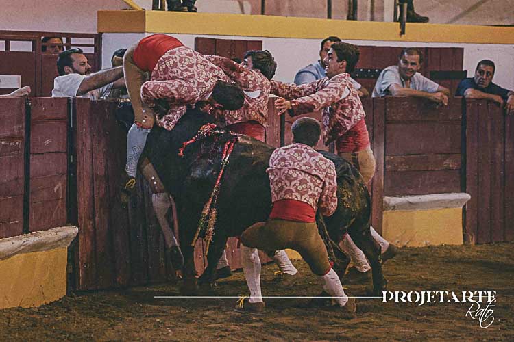 Real Grupo de Moura
