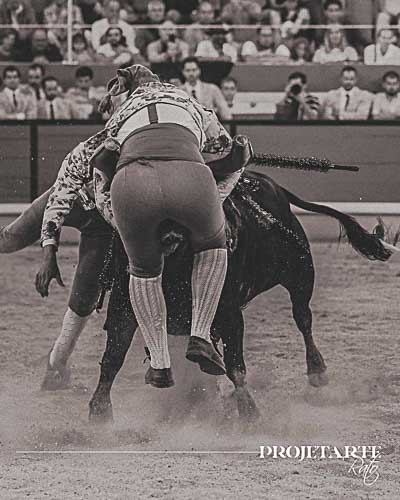 Amadores de Monsaraz
