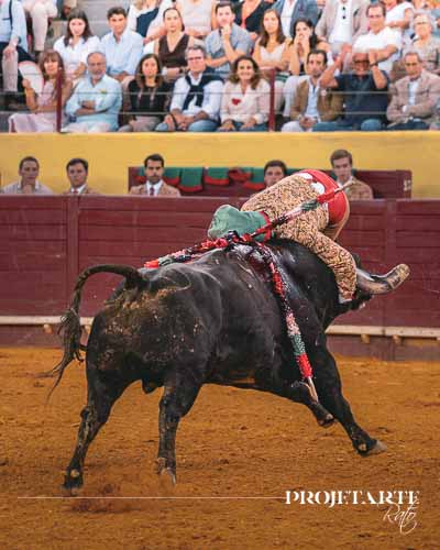 Forcados Amadores Santarém