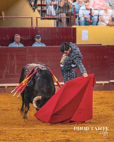 Morante de la Puebla