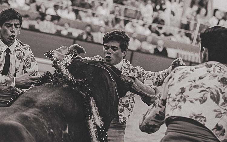 Amadores de Monsaraz