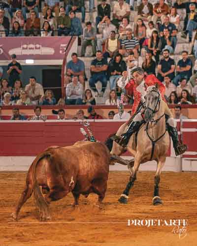 Luís Rouxinol