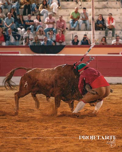 Forcados Amadores do Montijo