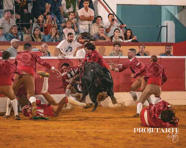 Forcados Amadores do Montijo