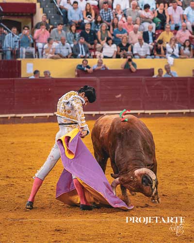 Tomás Bastos