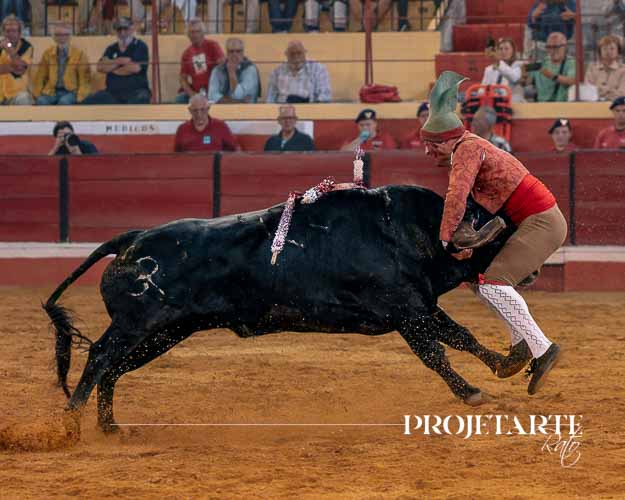 Forcados Amadores de Coimbra