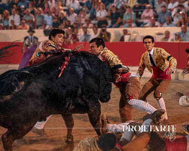 Forcados Amadores de Alcochete