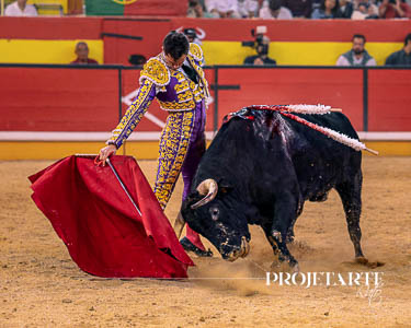 Daniel Luque