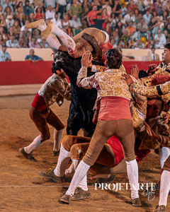 Forcados Amadores de Alcochete