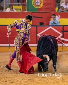 Daniel Luque
