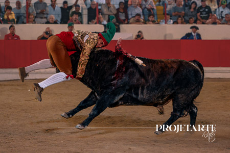 Forcados Aposento da Moita