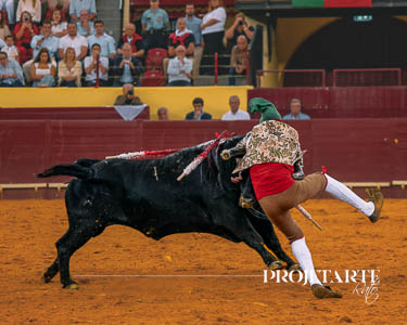 Forcados Aposento da Moita