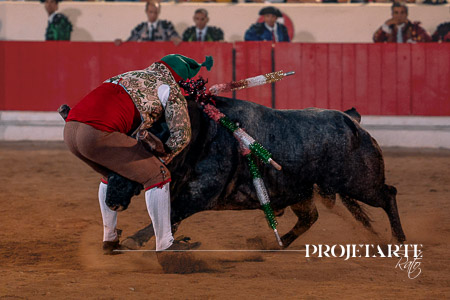 Forcados Aposento da Moita