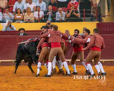 Forcados Amadores de Turlock