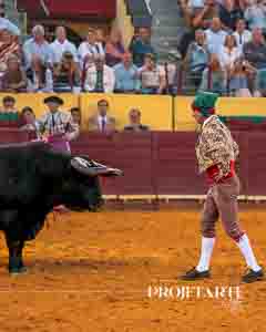 Forcados Aposento da Moita