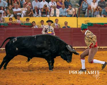 Forcados Aposento da Moita