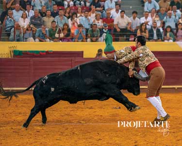 Forcados Aposento da Moita