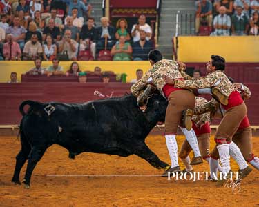 Forcados Aposento da Moita