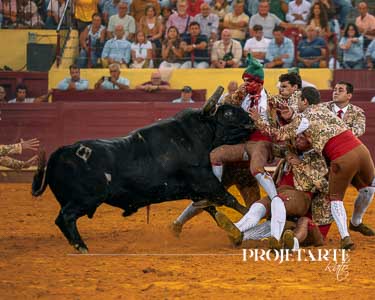 Forcados Aposento da Moita