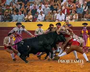 Forcados Aposento da Moita