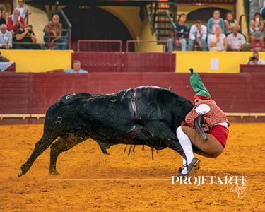 Forcados Amadores de Turlock
