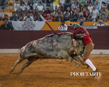 Forcados Lisboa