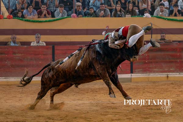 Forcados Amadores de Coruche