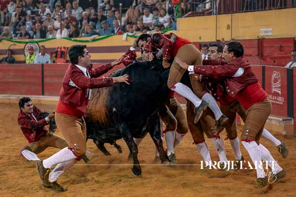 Forcados Amadores de Lisboa