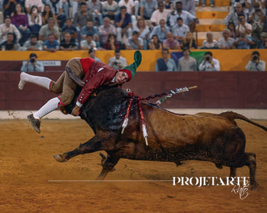 Forcados Lisboa