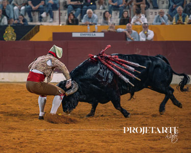 Forcados Coruche