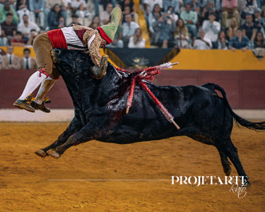 Forcados Coruche