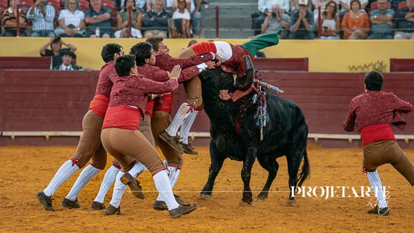 Forcados Amadores de Montemor