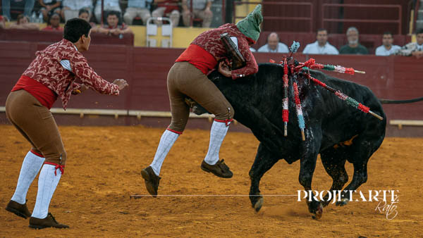 Forcados Amadores de Vila Franca de Xira
