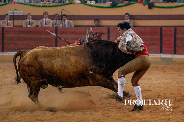 Forcados Amadores de Coruche