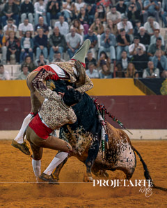 Forcados Coruche