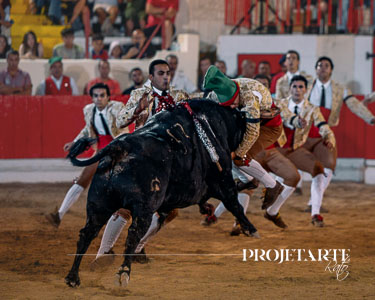 Forcados Amadores de Alcochete