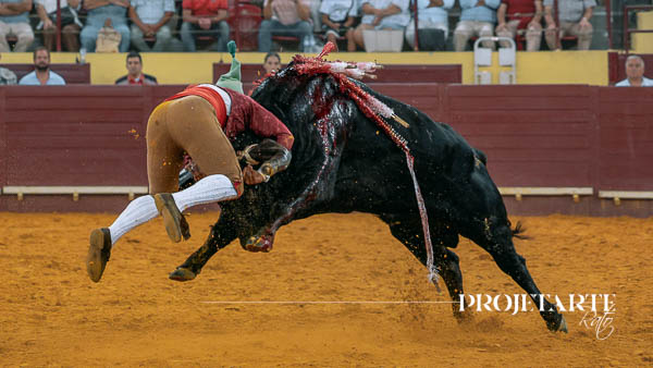 Forcados Amadores de Montemor