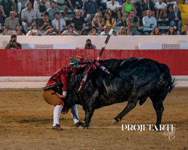 Forcados Amadores de Lisboa