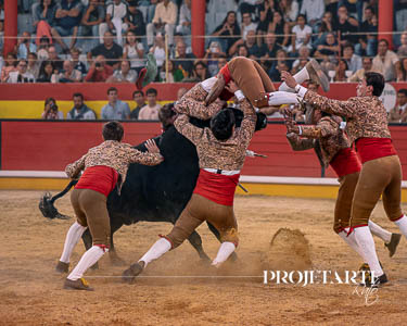Forcados Amadores Santarém