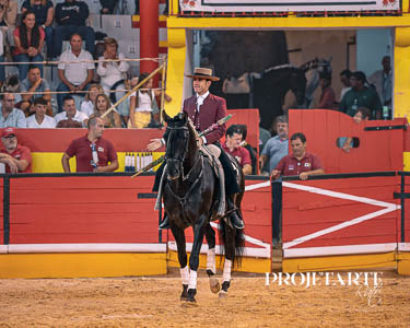 Guillermo Hermoso de Mendoza