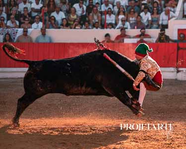 Forcados Amadores de Alcochete